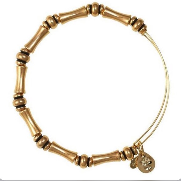 Alex and Ani Bracelet Stack - Picture 3 of 14